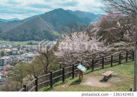 Sakura Cherry Blossom with snow mountain in Spring season, Tendo Park or Maizuru Park, landmark popular for tourist attractions in Yamagata prefecture, Tohoku, Japan Sakura Cherry Blossom with snow mountain in Spring season, Tendo Park or Maizuru Park, landmark popular for tourist attractions in Yamagata prefecture, Tohoku, Japan 136142463