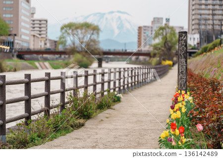 Beautiful Iwate mountain and Kitakami river with flowers blooming in Spring season, cityscape against blue sky in Morioka city, Iwate prefecture, Japan. famous Landmark Travel and Vacation destination Beautiful Iwate mountain and Kitakami river with flowers blooming in Spring season, cityscape against blue sky in Morioka city, Iwate prefecture, Japan. famous Landmark Travel and Vacation destination 136142489
