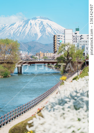 Beautiful Iwate mountain and Kitakami river with flowers blooming in Spring season, cityscape against blue sky in Morioka city, Iwate prefecture, Japan. famous Landmark Travel and Vacation destination Beautiful Iwate mountain and Kitakami river with flowers blooming in Spring season, cityscape against blue sky in Morioka city, Iwate prefecture, Japan. famous Landmark Travel and Vacation destination 136142497