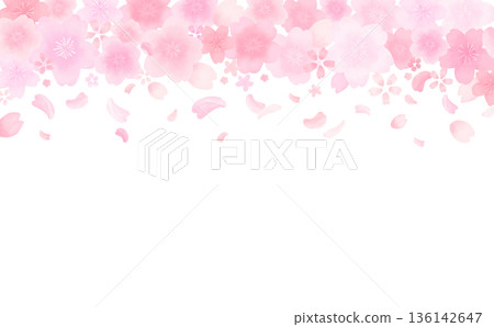 Watercolor style cute cherry blossom frame_top_no background_horizontal Watercolor style cute cherry blossom frame_top_no background_horizontal 136142647