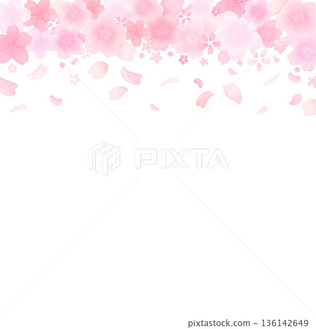 Watercolor style cute cherry blossom frame_top_no background_square Watercolor style cute cherry blossom frame_top_no background_square 136142649