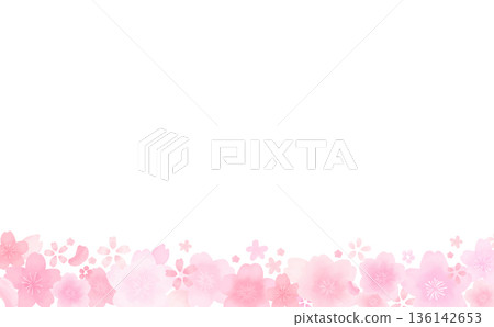 Watercolor style cute cherry blossom frame_bottom_no background_horizontal Watercolor style cute cherry blossom frame_bottom_no background_horizontal 136142653