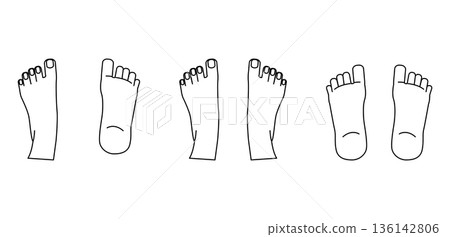 Illustration set of the soles and tops of the feet, foot care and reflexology, foot structure, massage and acupressure explanation parts 136142806