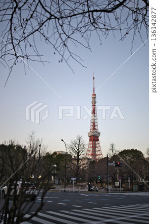 清晨東京塔 清晨東京塔 136142877
