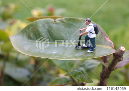 Miniature Figure Riding Scooter Across Large Green Leaf Miniature Figure Riding Scooter Across Large Green Leaf 136142969