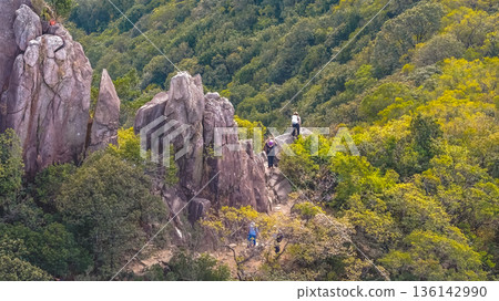 Jan 25 2026 Hikers Traverse Lion Rock Ridge Above Dense Kowloon Apartments 136142990