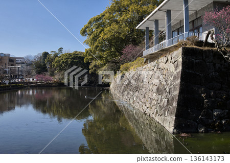 小田原城南護城河 小田原城南護城河 136143173