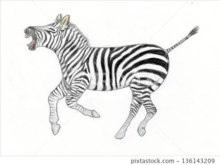 快樂斑馬的插圖 136143209