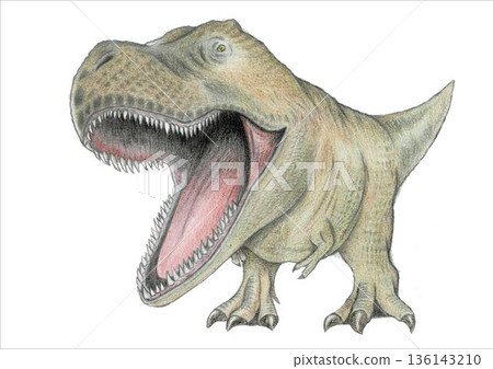Powerful Tyrannosaurus illustration Powerful Tyrannosaurus illustration 136143210