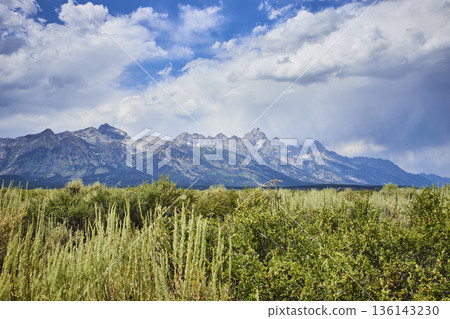 Grand Teton Mountain Range and Sagebrush Meadow under Dramatic Summer Sky Wyoming 136143230