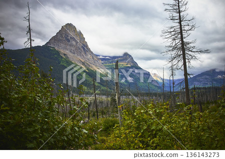 Majestic Mountain Peak with Lush Forest and Dramatic Sky in Untamed Wilderness 136143273