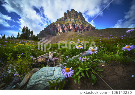 Wildflowers and Rocky Meadow Framing Dramatic Mountain Under Blue Sky Wildflowers and Rocky Meadow Framing Dramatic Mountain Under Blue Sky 136143280