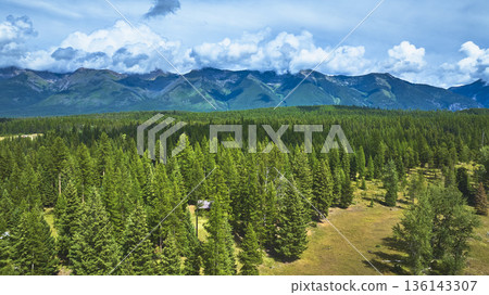 Aerial Evergreen Forest Expansive Mountain Range and Cloudscape Summer View 136143307