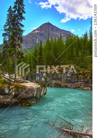Turquoise River Flowing Through Rocky Canyon with Pine Forest and Mountain Peak 136143309