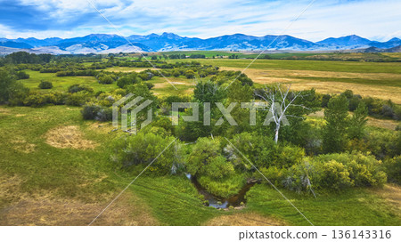 Aerial Vibrant Green Meadow Creek and Mountain Landscape in Summer Wyoming 136143316