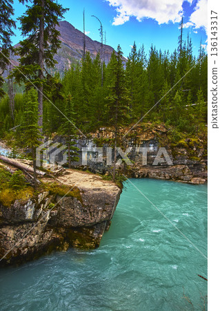 Turquoise River Flowing Through Rocky Canyon and Pine Forest with Mountain Backdrop 136143317
