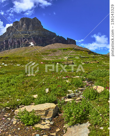 Mountain Peak Wildflower Meadow and Stream in Summer Landscape 136143329