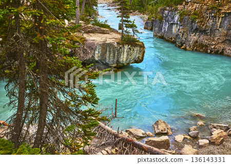 Turquoise River Flowing Through Rugged Canyon and Pine Forest in Pristine Wilderness Turquoise River Flowing Through Rugged Canyon and Pine Forest in Pristine Wilderness 136143331