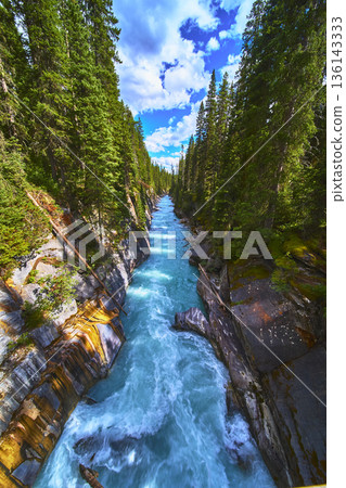 Turquoise River Rapids with Rocky Gorge and Lush Pine Forest Under Blue Sky 136143333