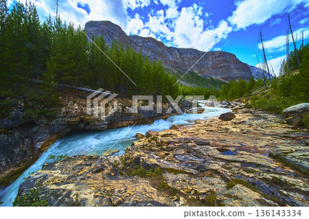Mountain Canyon River and Pine Forest Under Vivid Blue Sky 136143334