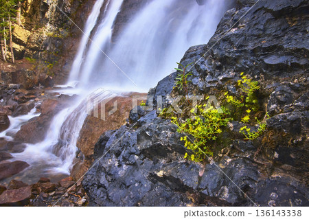 Waterfall Flow Over Rocky Cliff With Yellow Wildflowers In Lush Natural Setting 136143338
