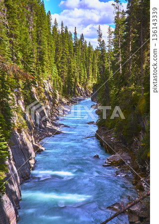 Turquoise River Flowing Through Rocky Canyon with Evergreen Forest and Blue Sky 136143339
