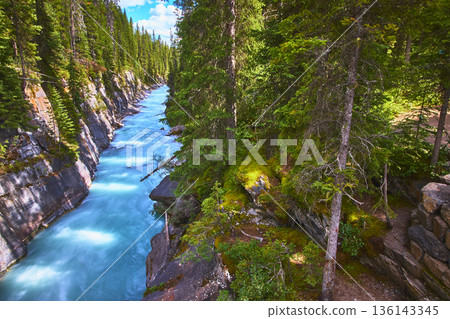 Turquoise River Flowing Through Rocky Gorge with Evergreen Forest in Sunlight 136143345