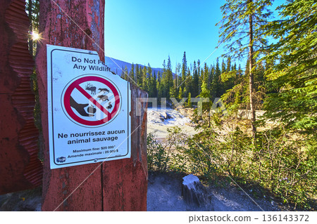 Do Not Feed Wildlife Sign by Natural Bridge with Sunburst and Forest at Sunrise Do Not Feed Wildlife Sign by Natural Bridge with Sunburst and Forest at Sunrise 136143372