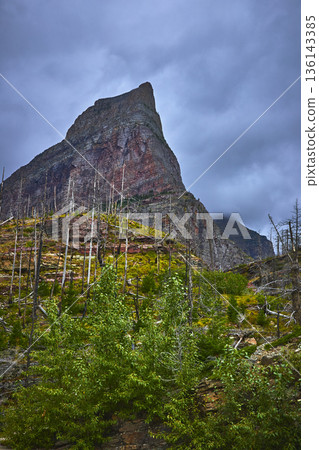 Towering Mountain Peak Dead Forest and Lush Undergrowth in Dramatic Montana Landscape Towering Mountain Peak Dead Forest and Lush Undergrowth in Dramatic Montana Landscape 136143385