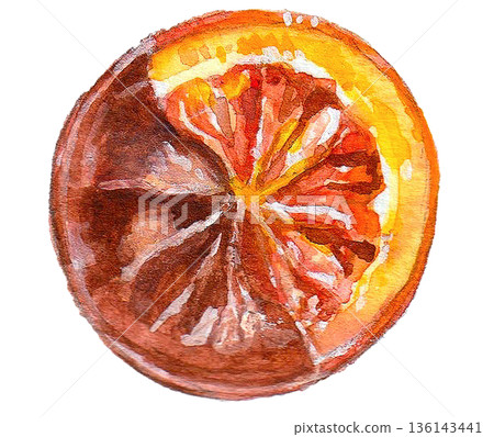 Orangette painted in watercolor Orangette painted in watercolor 136143441