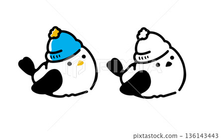 一隻戴著帽子的長尾山雀 136143443