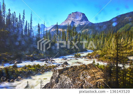 Majestic Mountain River Flowing Through Evergreen Forest Under Clear Blue Sky 136143520