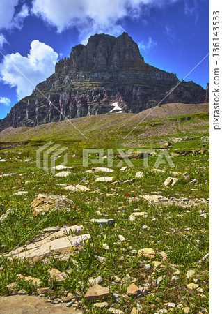 Mountain Peak and Wildflower Meadow Under Blue Sky in Summer Mountain Peak and Wildflower Meadow Under Blue Sky in Summer 136143533