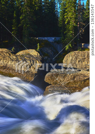Natural Bridge Rapids and Evergreen Forest in Sunlight Yoho National Park Natural Bridge Rapids and Evergreen Forest in Sunlight Yoho National Park 136143547