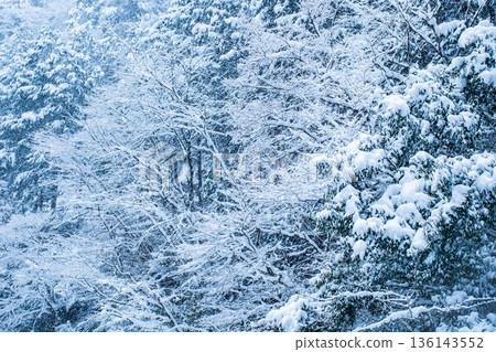 The winter The winter 136143552