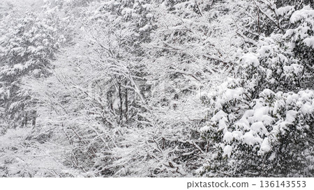 冬天 136143553