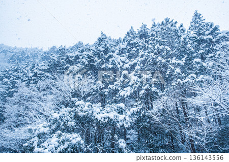 The winter The winter 136143556