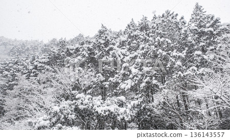 The winter The winter 136143557