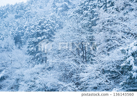 冬天 136143560