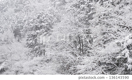 The winter The winter 136143590