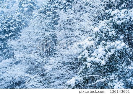 冬天 136143601