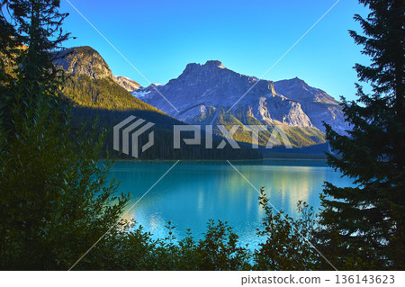 Emerald Lake Turquoise Water and Majestic Mountain Peaks Framed by Evergreen Forest 136143623