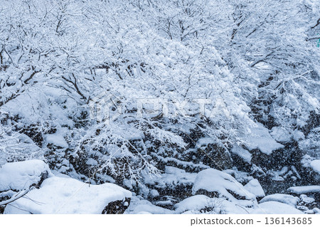 Samigawa Gorge (winter) Samigawa Gorge (winter) 136143685