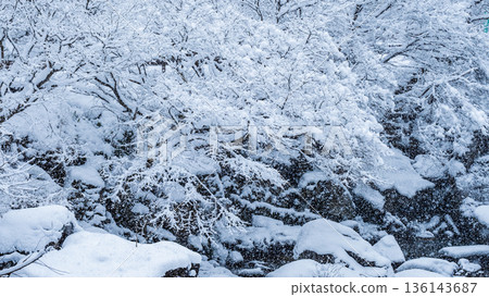 Samigawa Gorge (winter) Samigawa Gorge (winter) 136143687