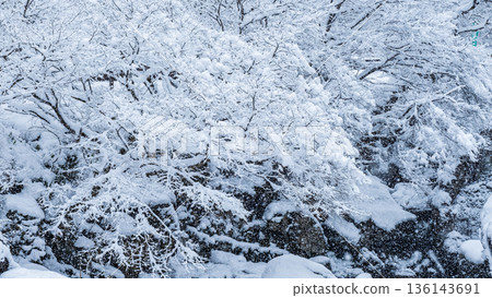 巽川峽谷(冬季) 巽川峽谷(冬季) 136143691