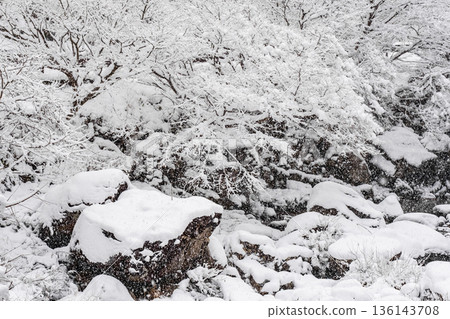 巽川峽谷（冬季） 136143708