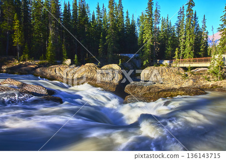 Natural Bridge Rapids and Pine Forest with Wooden Walkway in Sunlight Natural Bridge Rapids and Pine Forest with Wooden Walkway in Sunlight 136143715