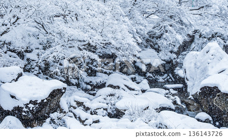 巽川峽谷(冬季) 巽川峽谷(冬季) 136143726