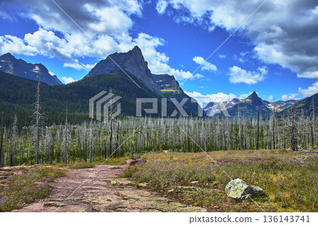 Mountain Peaks Dead Forest and Hiking Trail in Majestic Wilderness Landscape Mountain Peaks Dead Forest and Hiking Trail in Majestic Wilderness Landscape 136143741