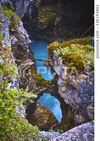 Canyon River Turquoise Water and Rocky Cliffs with Lush Vegetation Vertical View 136143802